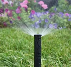 Close-up of a black lawn sprinkler spraying water, with colorful flowers and green grass in the blurred background.